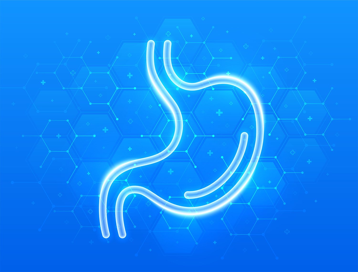 Procedimientos médicos Endogastro